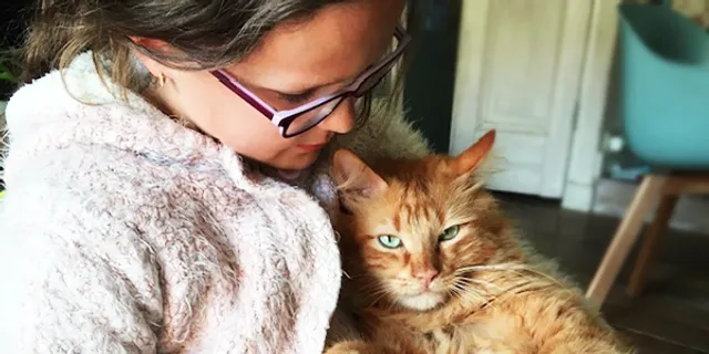 Uitgelichte afbeelding