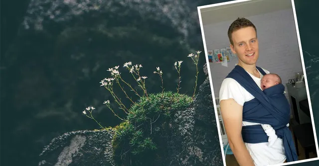 Uitgelichte afbeelding