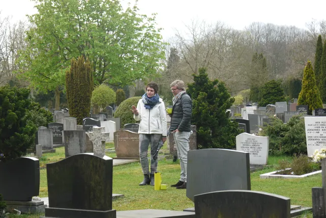 Uitgelichte afbeelding