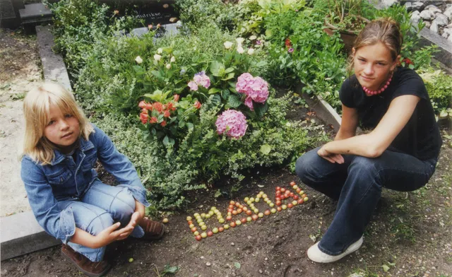 Uitgelichte afbeelding