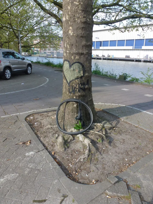 Uitgelichte afbeelding