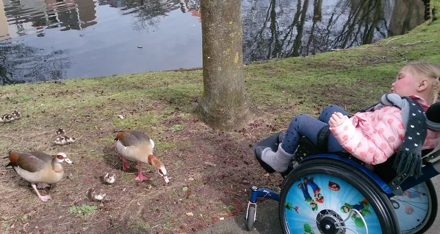 Uitgelichte afbeelding