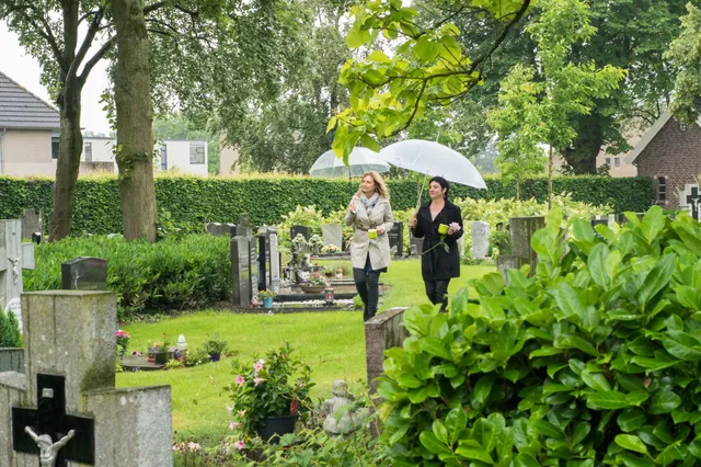 Uitgelichte afbeelding