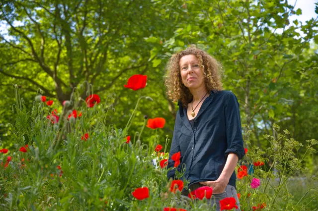 Uitgelichte afbeelding