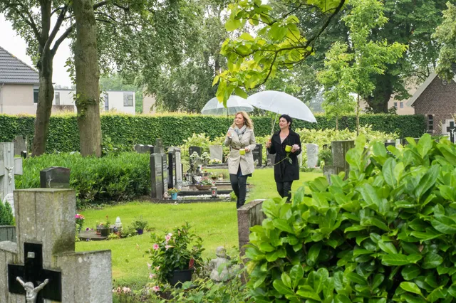 Uitgelichte afbeelding