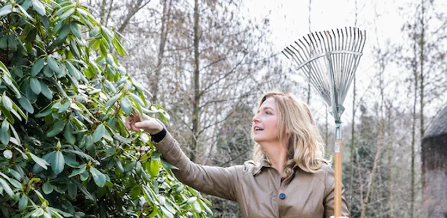 Uitgelichte afbeelding