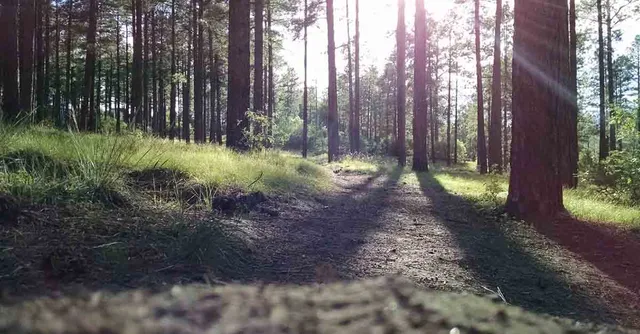 Uitgelichte afbeelding