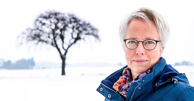 Uitgelichte afbeelding