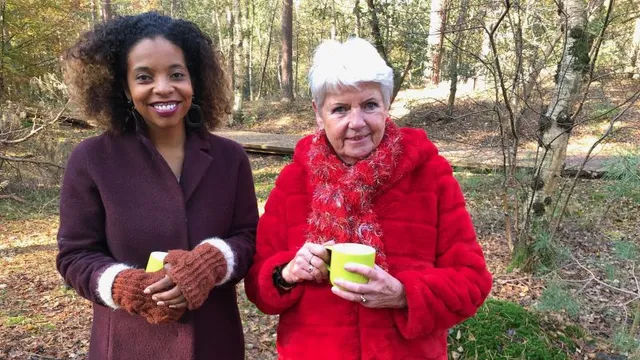 Uitgelichte afbeelding