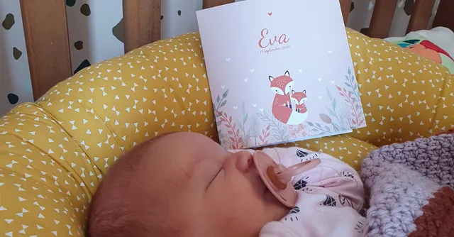 Uitgelichte afbeelding