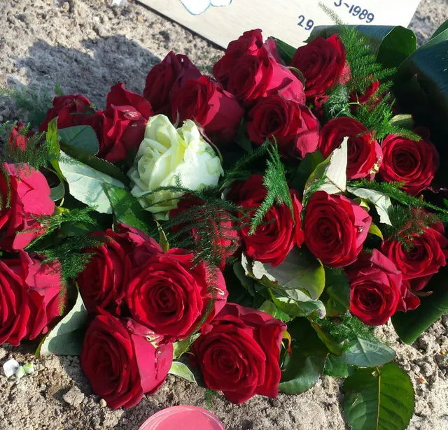 Uitgelichte afbeelding