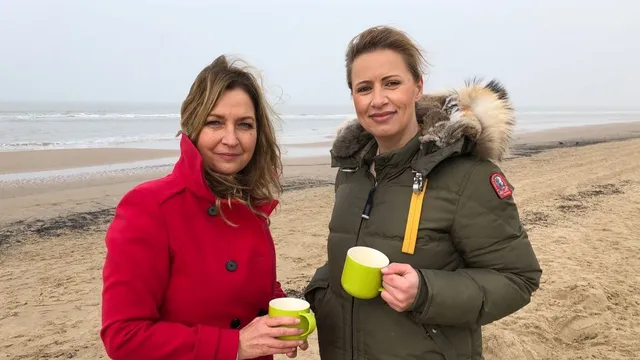 Uitgelichte afbeelding