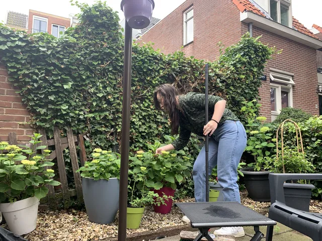 Uitgelichte afbeelding