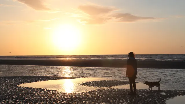 Catharina tijdens zonsondergang bij zee met de hond.