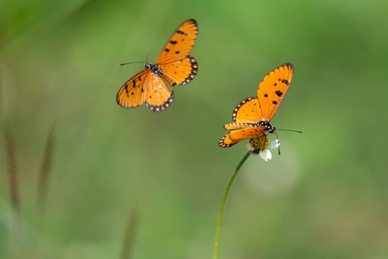 Gedicht Catharina | 'Laten we praten'