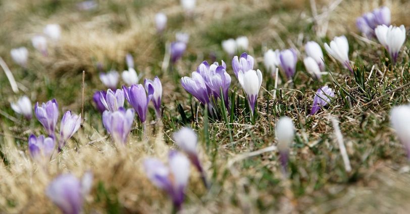 Blog Sarah | Wat is de lente anders