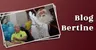 Blog Bertine | Sinterklaas
